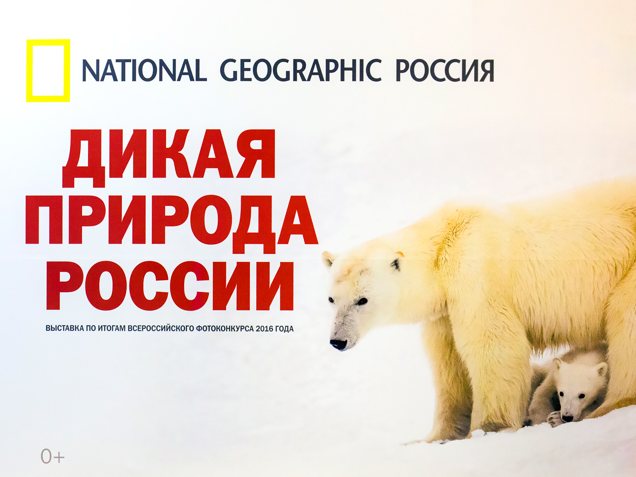 Дикая природа России 2016